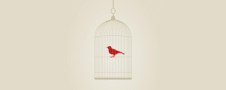 区域优化的在线云呼死你